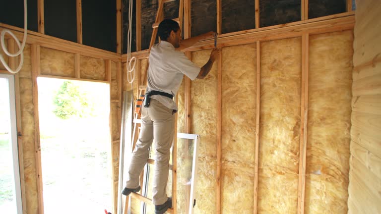 Best Basement Insulation  in Larkspur, CA